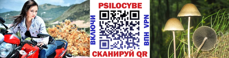 Псилоцибиновые грибы мицелий  нарко площадка как зайти  Курск 